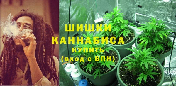 дурь Волосово